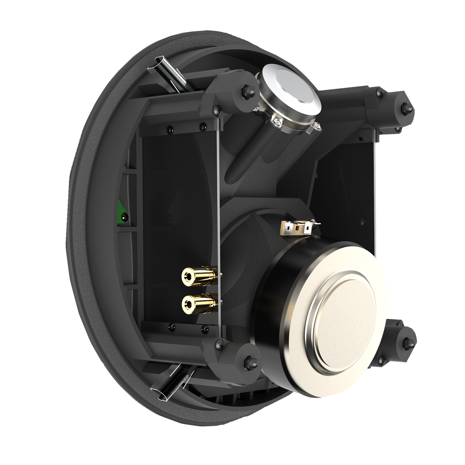 SCL-8